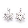 Brass Micro Pave Cubic Zirconia Pendants LS-KK-F774-10P-NR-2