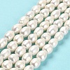 Natural Cultured Freshwater Pearl Beads Strands PEAR-E016-081-2
