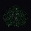 Luminous Glass Seed Beads SEED-A033-07B-5