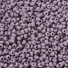 MIYUKI Round Rocailles Beads X-SEED-G007-RR0410F-3