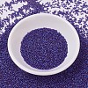 MIYUKI Delica Beads X-SEED-J020-DB0696-2