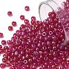 TOHO Round Seed Beads SEED-JPTR08-0165B-1