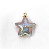 10Pcs UV Plated Iridescent Opaque Resin Pendants PW-WG9DE9F-10-1