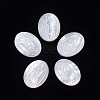 Natural White Shell Cabochons SSHEL-D083-17-1