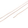 10M 304 Stainless Steel Wire TWIR-N005-0.3mm-RG-2
