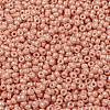 MIYUKI Round Rocailles Beads SEED-X0055-RR0596-2