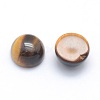 Natural Tiger Eye Cabochons X-G-P393-R25-10MM-2