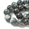 Natural Dioptase Beads Strands G-D302-02-10mm-4