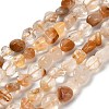 Natural Quartz Beads Strands G-P497-01E-57-1