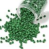 TOHO 6/0 Round Beads X-SEED-TR06-0047D-1