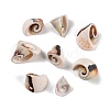 Natural Shiva Eye Shell Beads SHEL-K009-17E-1