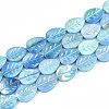 Freshwater Shell Beads Strands X-SHEL-S274-61C-2
