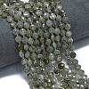 Natural Labradorite Beads Strands G-K389-B66-01-2