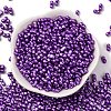 Baking Paint Glass Seed Beads SEED-L011-12A-04-2