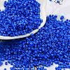Baking Paint Glass Seed Beads SEED-S042-05B-77-1
