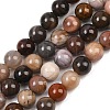 Natural Petrified Wood Round Bead Strands G-F266-08-6mm-2