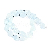 Transparent Glass Enamel Beads Strands GLAA-B021-06J-2