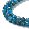 Natural Apatite Beads Strands G-J400-E01-05-3