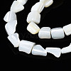 Natural Trochid Shell/Trochus Shell Beads Strands SSHEL-S266-006-3