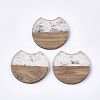 Resin & Wood Pendants X-RESI-T023-11I-1