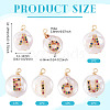 5Pcs 5 Styles Natural Cultured Freshwater Pearl Pendants PEAR-TA0001-30-4