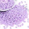 Lustered Glass Seed Beads SEED-K010-04A-1