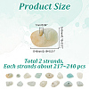 ARRICRAFT 2 Strands Natural Flower Amazonite Chip Beads Strands G-AR0005-87-2