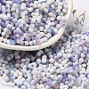 Baking Paint Glass Seed Beads SEED-F005-01A-12-1