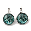 Tortoise Glass Leverback Earrings with Brass Earring Pins EJEW-Q798-01A-1