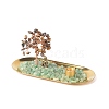 Natural Tiger Eye Money Tree Buddha Sculpture Set Incense Burner & Natural Green Aventurine on Trays for Wealth DJEW-G027-19RG-05-1