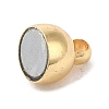 Rack Plating Brass Magnetic Clasps KK-D100-14KCG-2