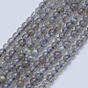 Natural Labradorite Beads Strands G-I206-46-3mm-1