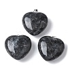 Natural Larvikite Pendants G-A259-02P-01-1