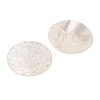 Natural White Shell Cabochons SSHEL-C012-12-2