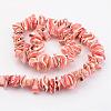 Natural Shell Bead Strands BSHE-P010-03-2