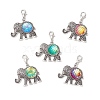 Resin Pendant Docorations X-HJEW-JM03704-2