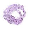 Natural Amethyst(Dyed & Heated) Beads Strands G-P497-01C-47-3