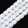 Electroplate Glass Beads Strands EGLA-S195-04F-01-1