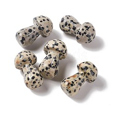 Natural Dalmatian Jasper GuaSha Stone G-A205-25E