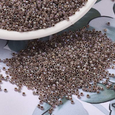 MIYUKI Delica Beads X-SEED-J020-DB1749-1