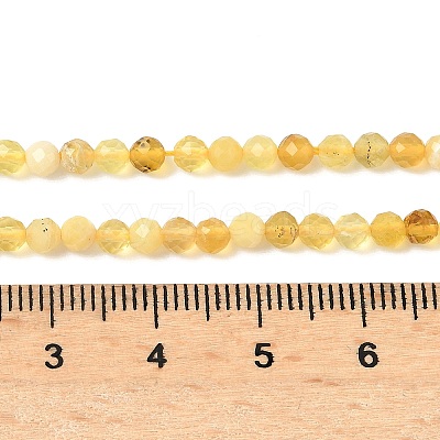 Natural Yellow Opal Beads Strands G-F509-07-3mm-02-1