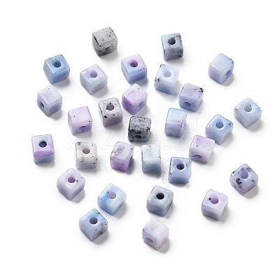 Transparent Acrylic Beads OACR-H044-04A-05-1