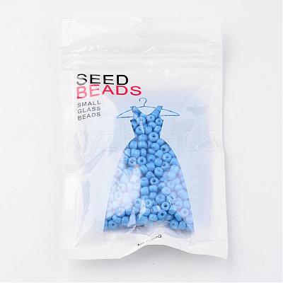 6/0 Baking Paint Glass Seed Beads X-SEED-S003-K17-1