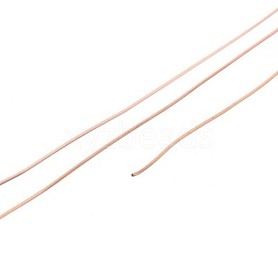 10M 304 Stainless Steel Wire TWIR-N005-0.3mm-RG-1