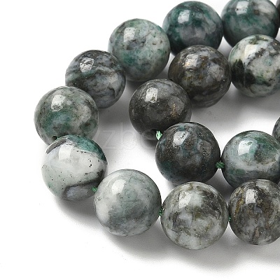 Natural Dioptase Beads Strands G-D302-02-10mm-1
