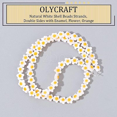 Natural White Shell Beads Strands SHEL-OC0001-02-1