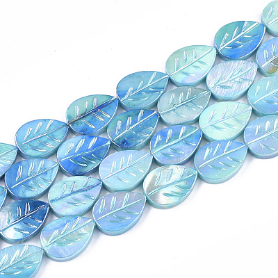 Freshwater Shell Beads Strands X-SHEL-S274-61C-1