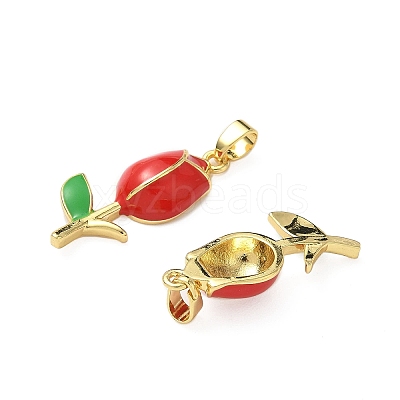 Brass Enamel Pendants KK-I371-33G-02-1