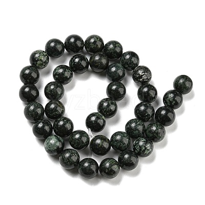 Natural Serpentine Beads Strands G-P504-10mm-01-1
