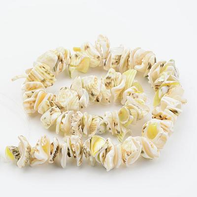 Natural Shell Bead Strands BSHE-P010-02-1